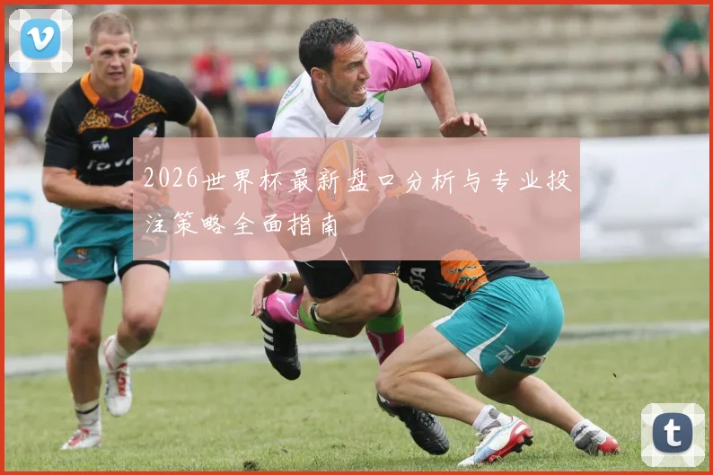 2026世界杯最新盘口分析与专业投注策略全面指南