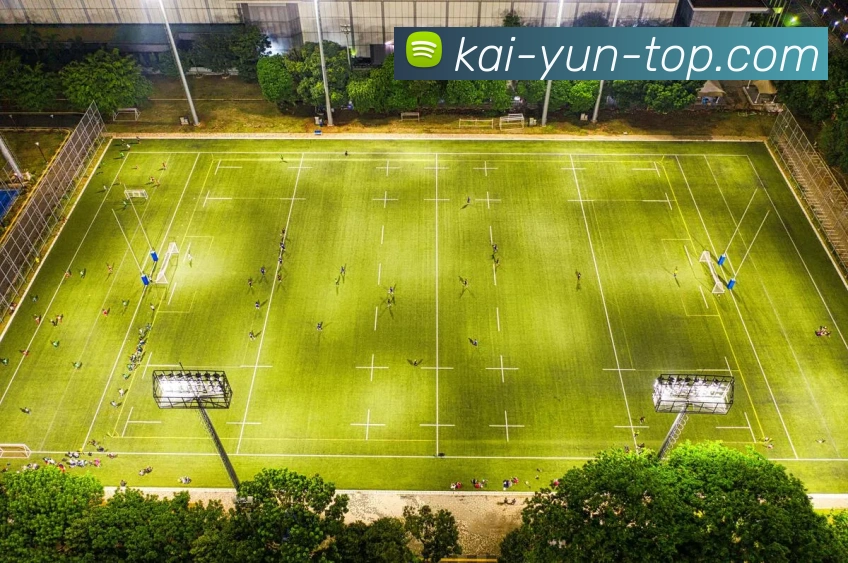 开云平台展示图