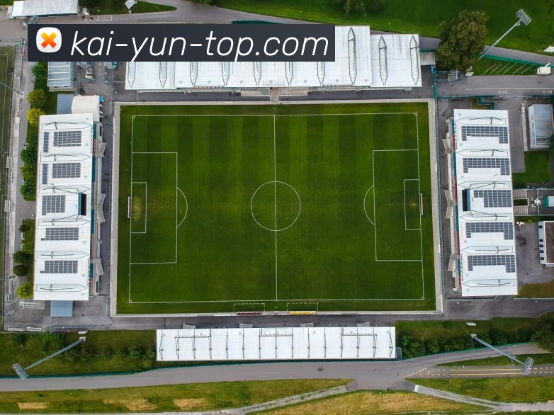 开云官网全站App